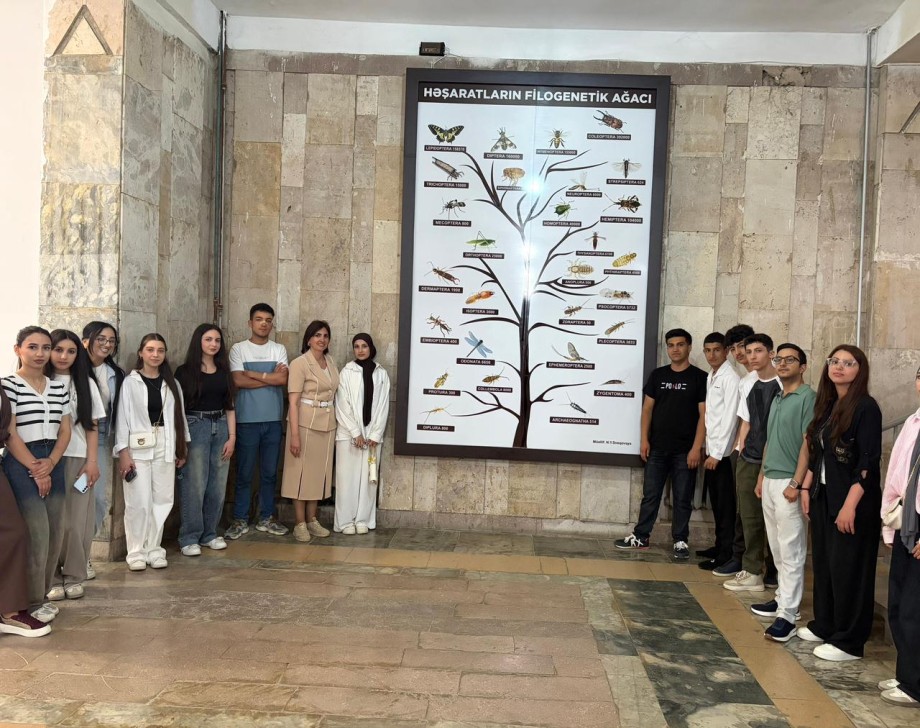 Tələbələr Zoologiya Muzeyinə  ekskursiya ediblər
